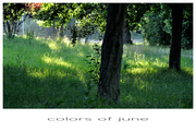 Colors of june